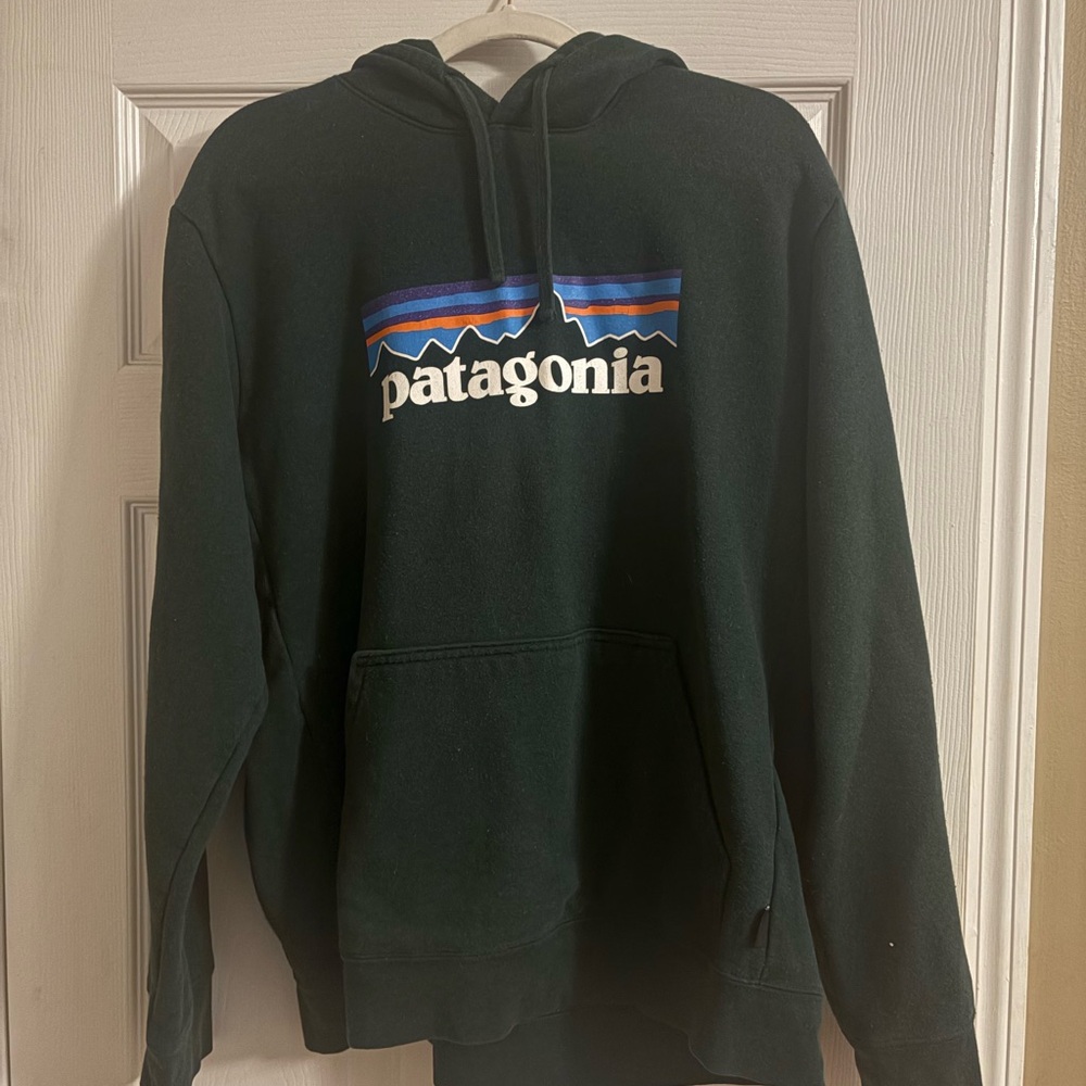 Patagonia Men's Green Hoodie with Logo